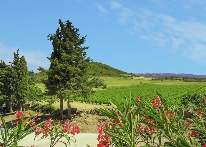 Apartment Classy In With Swimming Pool Villeseque-des-Corbieres
